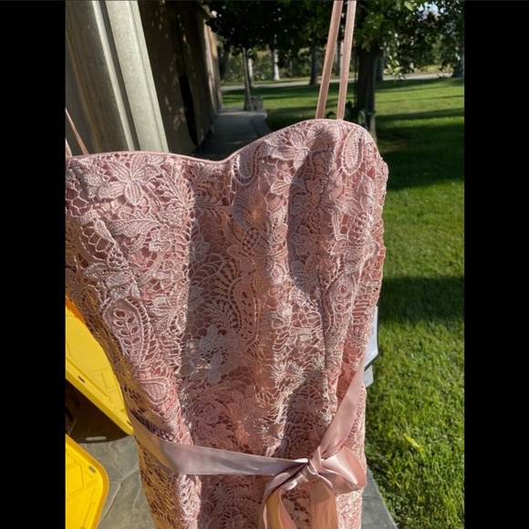 NWT Adrianna Papell‎ Sweetheart Strapless Lace Sheath Dress in Blush [size 4 ] - Picture 4 of 8